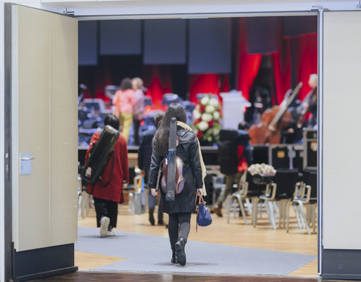 Young Person entering an Opera